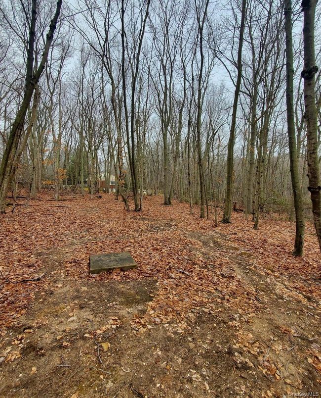 DE Listing image placeholder