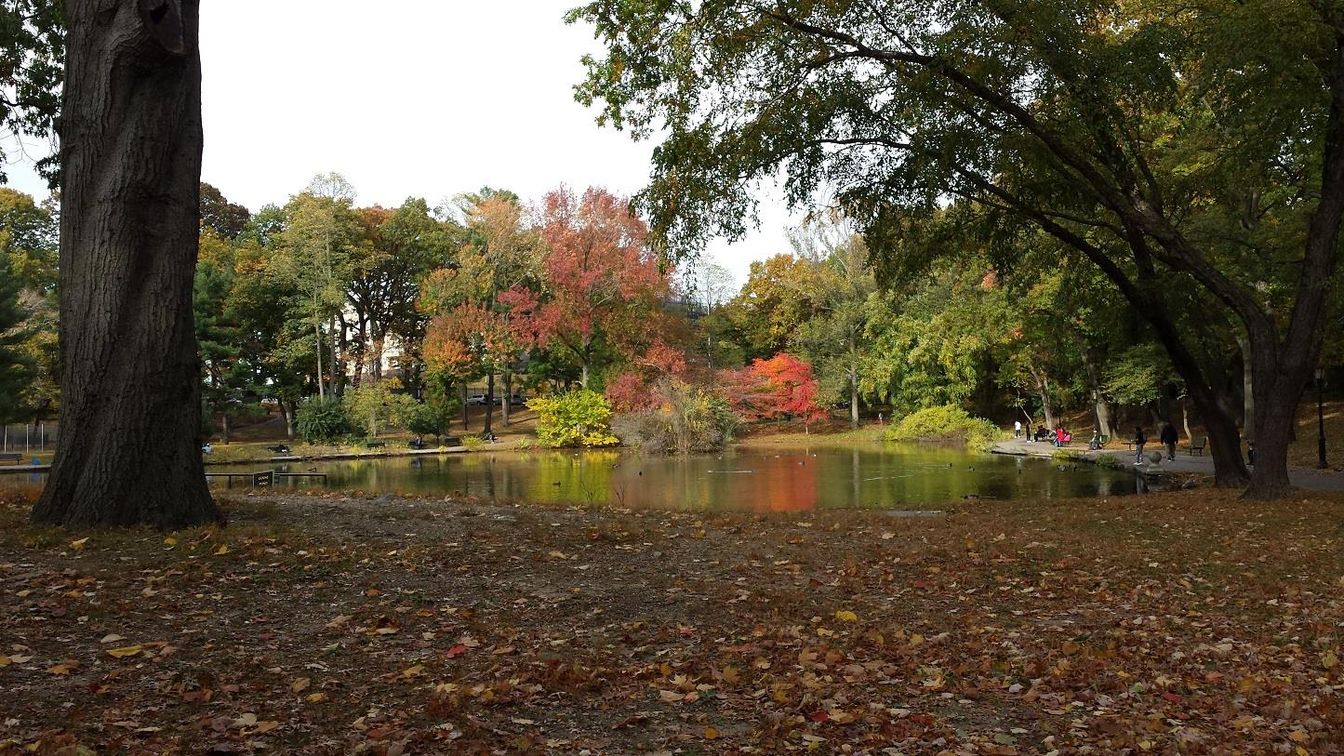 Exterior, Lake