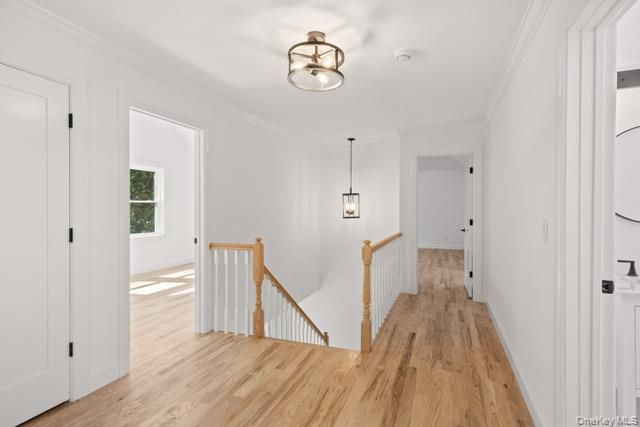 Interior, Pendant Lights, Wood Texture Flooring