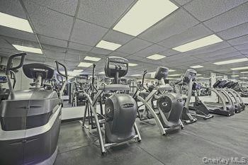 Fitness Equipment, Gym, Interior