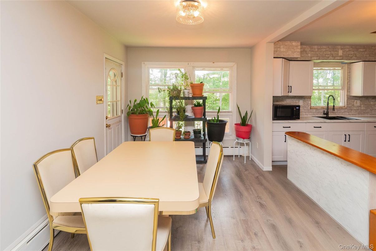 Dining room, Interior, Kitchen, Wood Texture Flooring