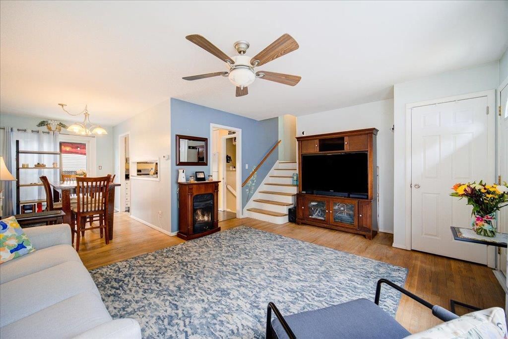 Chandelier, Dining room, Interior, Living room, Wood Texture Flooring