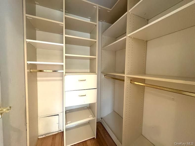 Interior, Walk-in Closets, Wood Texture Flooring