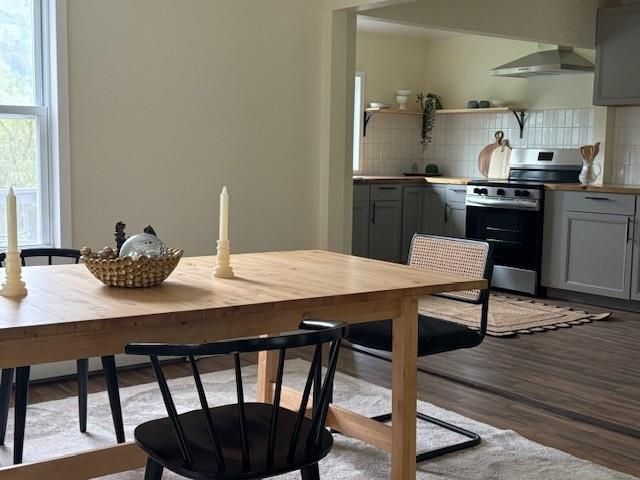 Dining room, Interior, Kitchen, Stainless Steel Appliances, Wood Texture Flooring