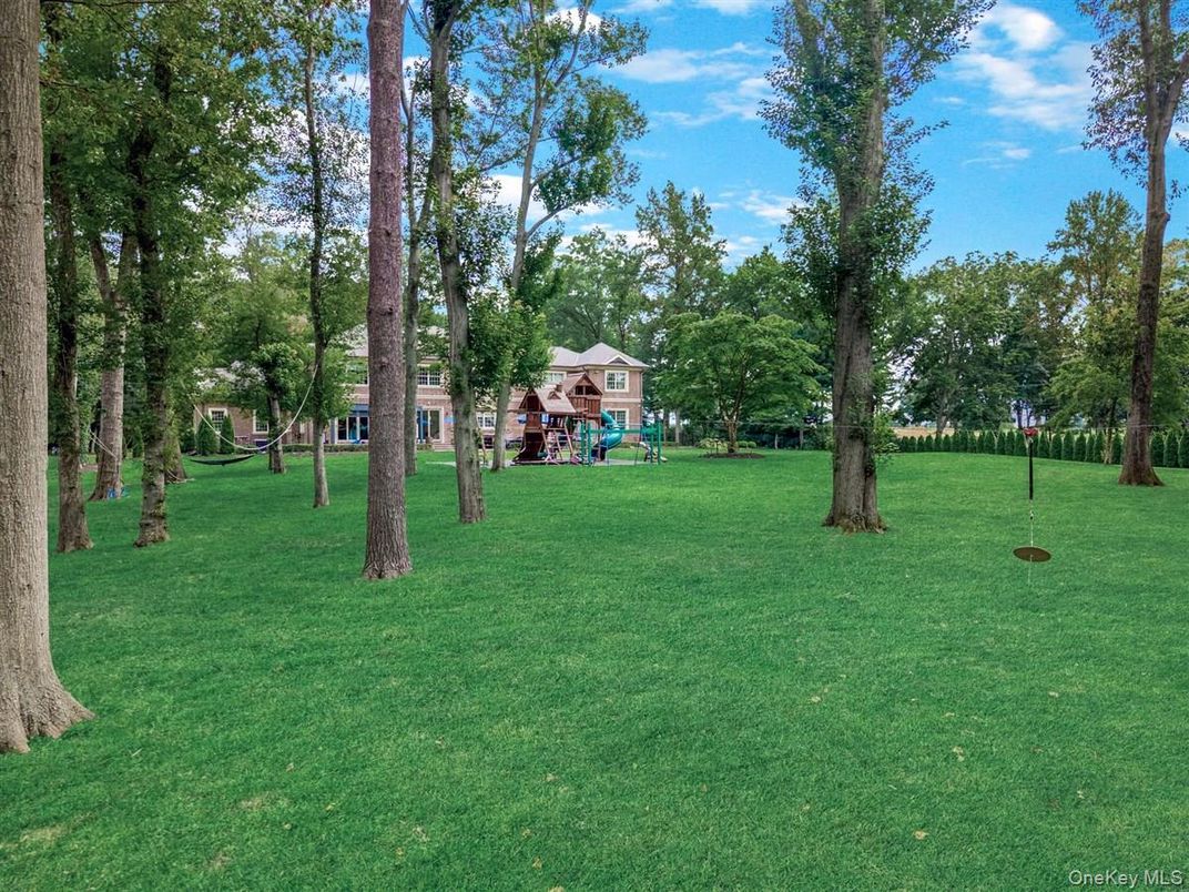 Backyard, Exterior, Playground