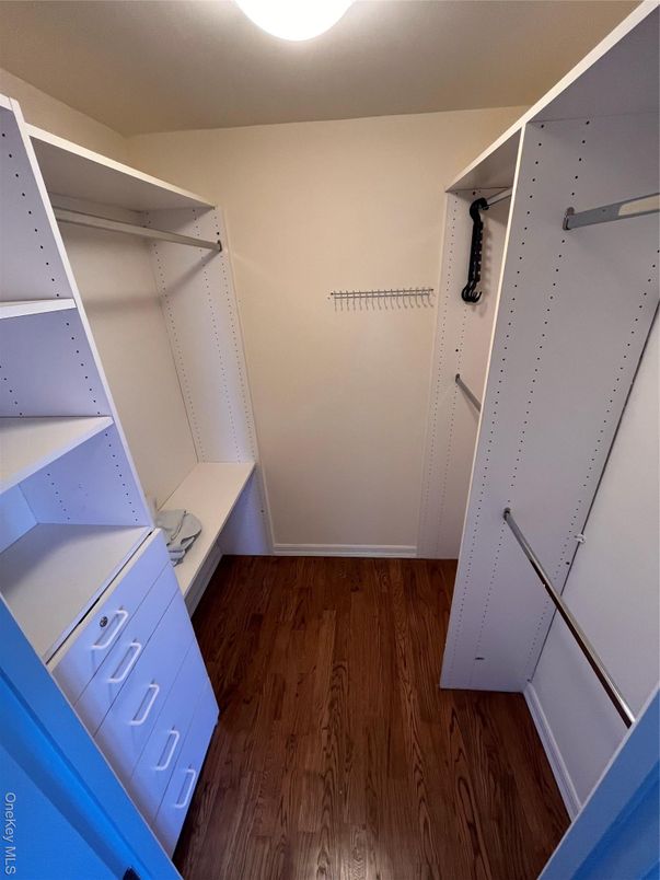 Interior, Walk-in Closets, Wood Texture Flooring