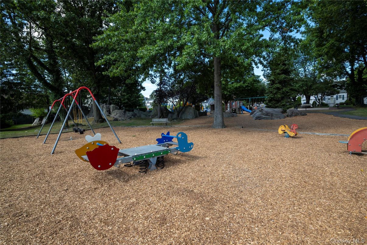 Backyard, Exterior, Playground