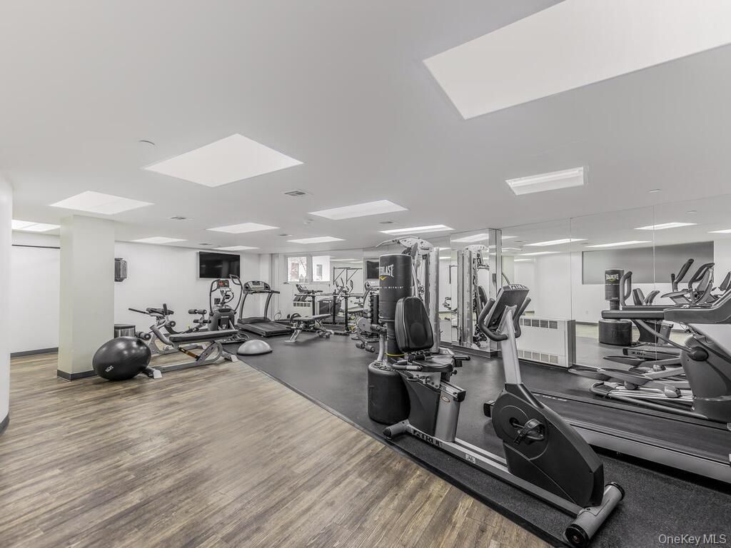 Fitness Equipment, Gym, Interior, Recessed Lighting, Wood Texture Flooring