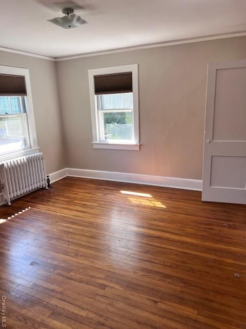 Interior, Wooden Walls