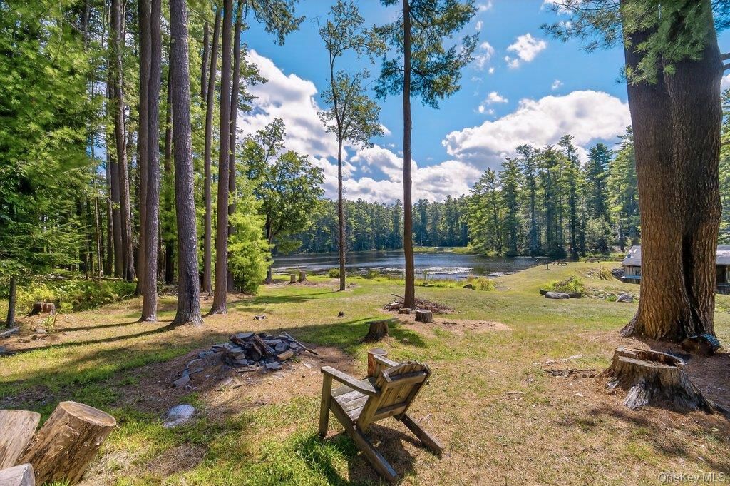 Backyard, Exterior, Water