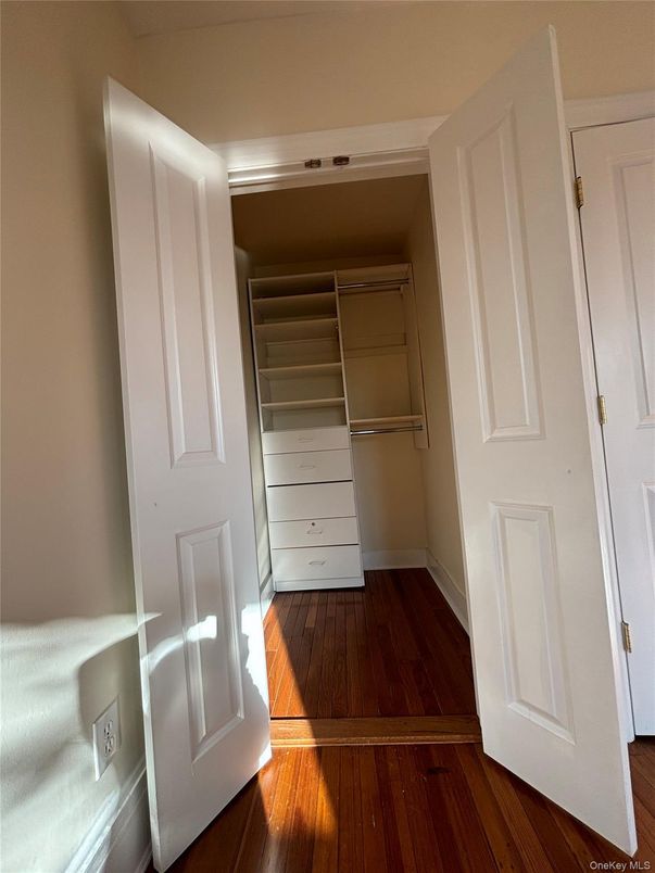 Interior, Walk-in Closets, Wood Texture Flooring