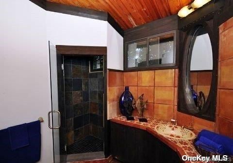 Bathroom, Glass Shower, Interior, Wooden Ceilings