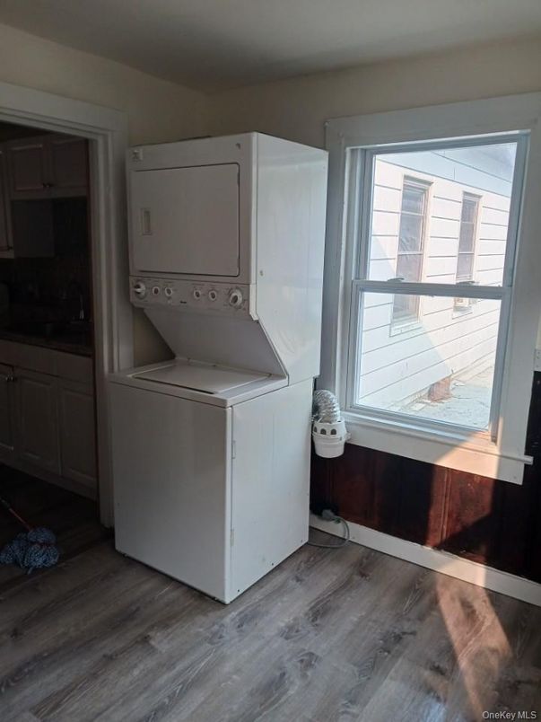 Interior, Utility Closets, Washer, Wood Texture Flooring