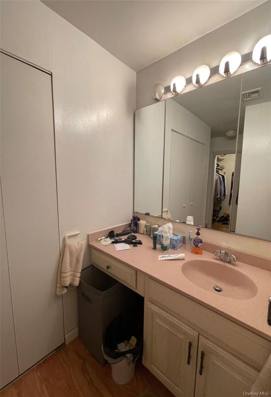 Bathroom, Dual Sink Vanities, Interior, Wood Texture Flooring