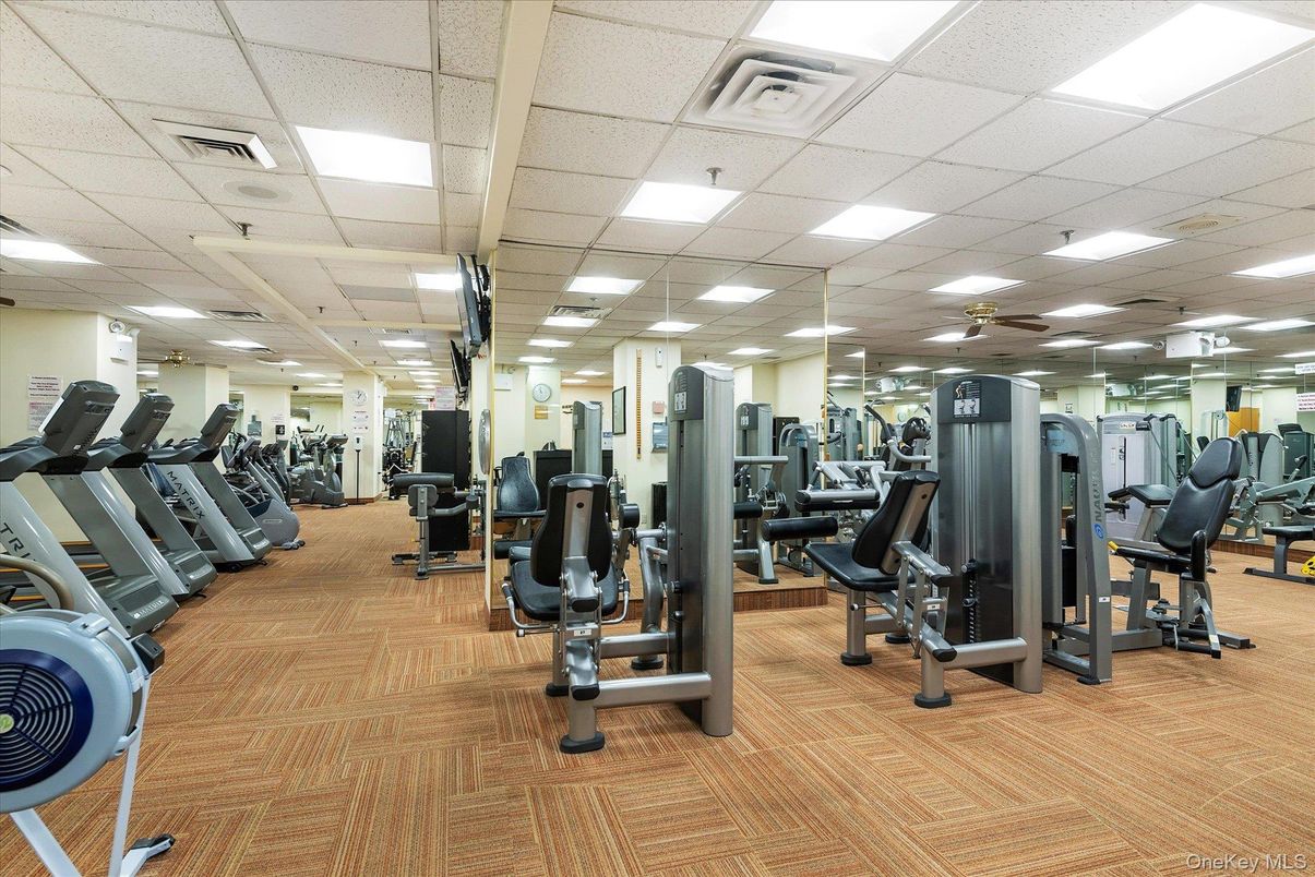 Fitness Equipment, Gym, Interior, Recessed Lighting