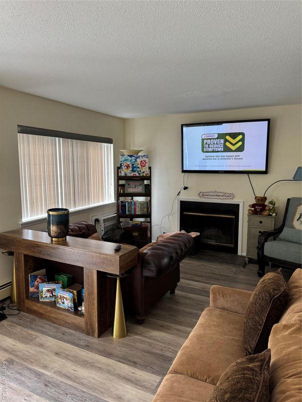 Fireplace, Interior, Living room, Wood Texture Flooring