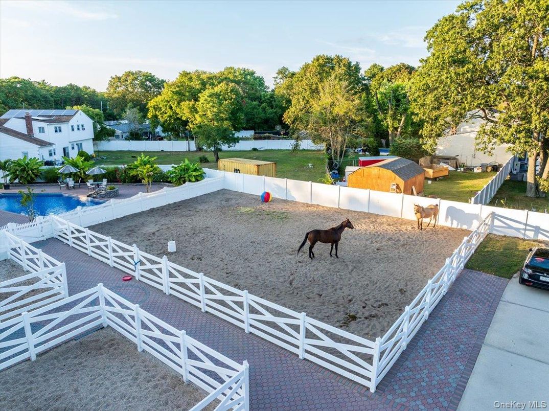 Backyard, Exterior, Pool