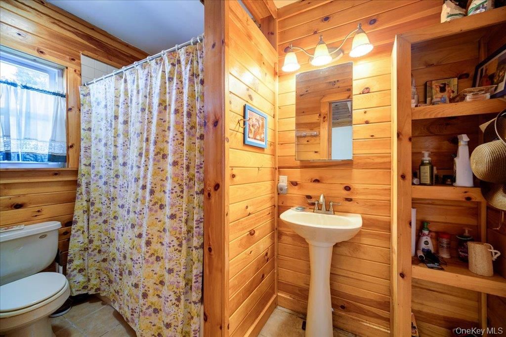 Bathroom, Interior, Wooden Walls