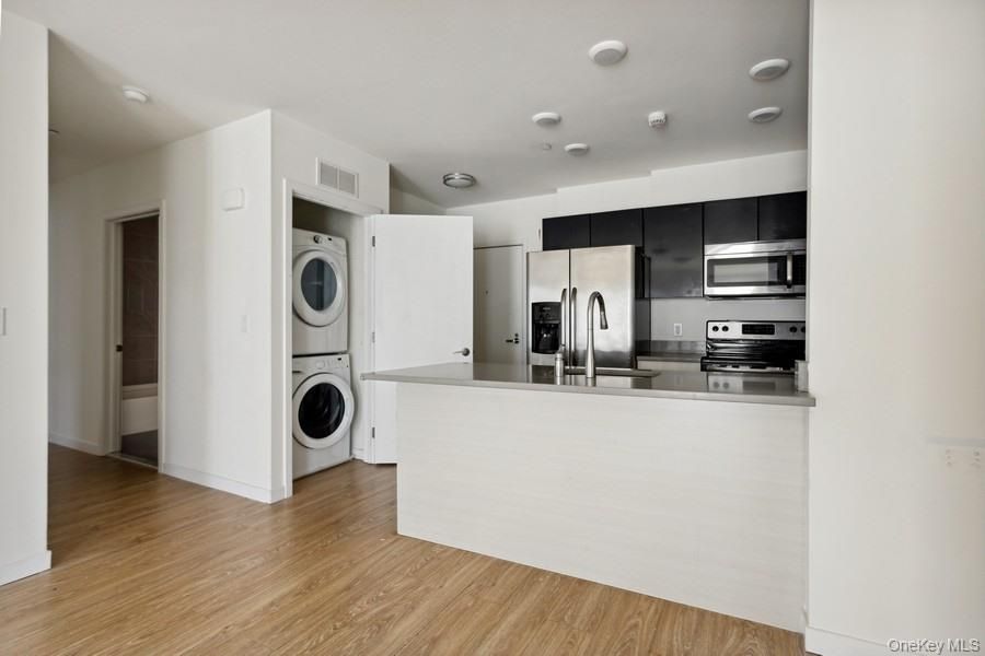 Interior, Kitchen, Stainless Steel Appliances, Washer, Wood Texture Flooring