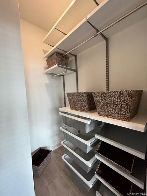 Interior, Walk-in Closets, Wood Texture Flooring