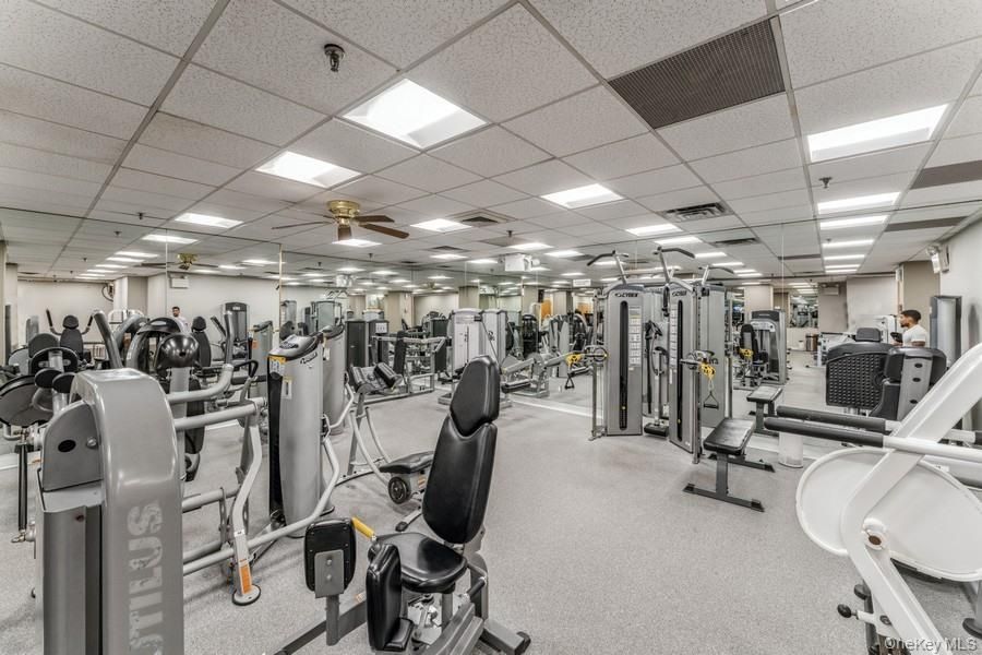 Fitness Equipment, Gym, Interior, Recessed Lighting