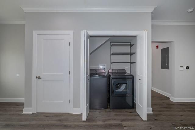 Interior, Washer, Wood Texture Flooring