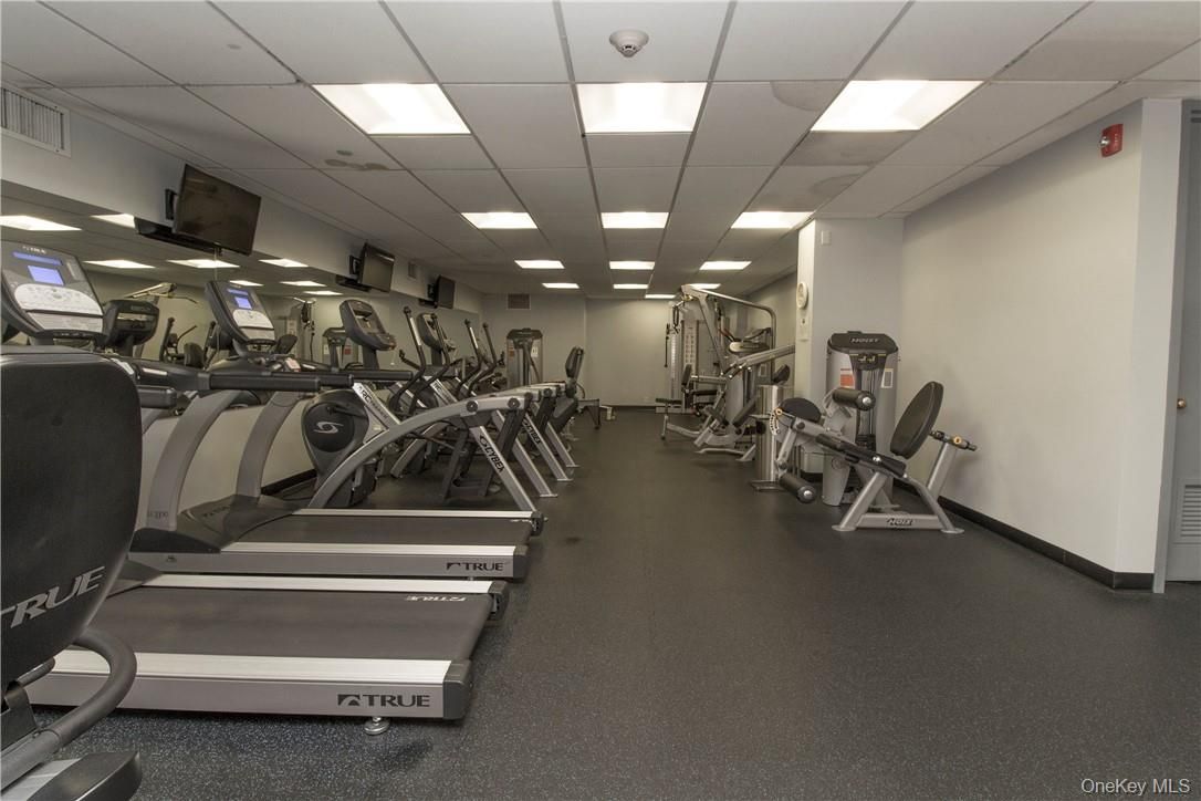 Fitness Equipment, Gym, Interior, Recessed Lighting