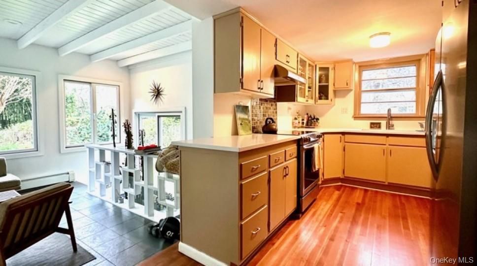 Interior, Kitchen, Stainless Steel Appliances, Wood Texture Flooring