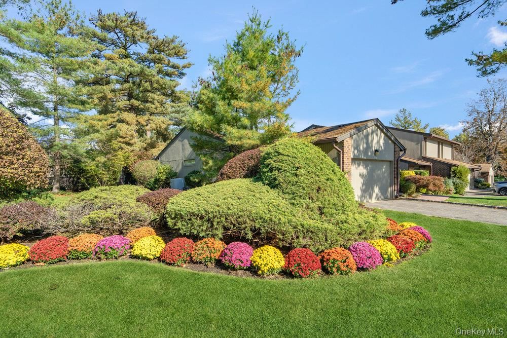 Backyard, Detached Garage, Exterior