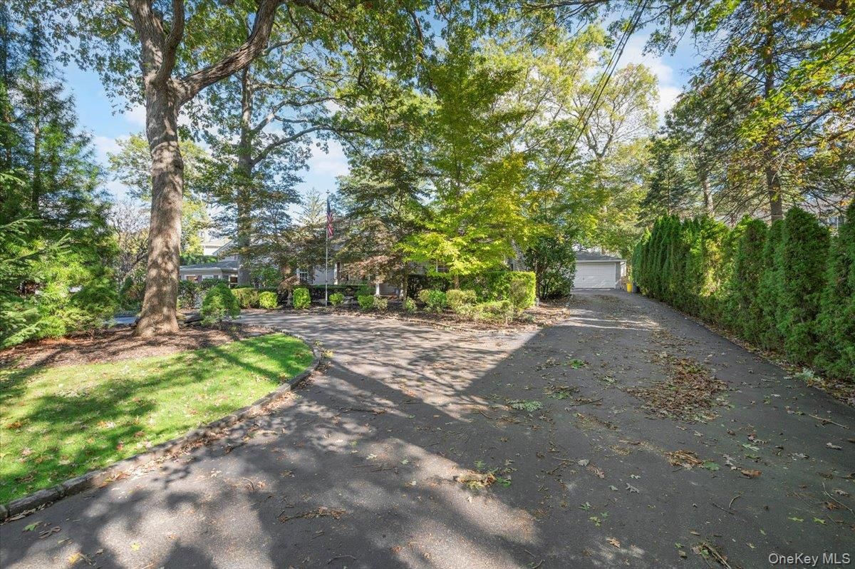 Backyard, Detached Garage, Exterior