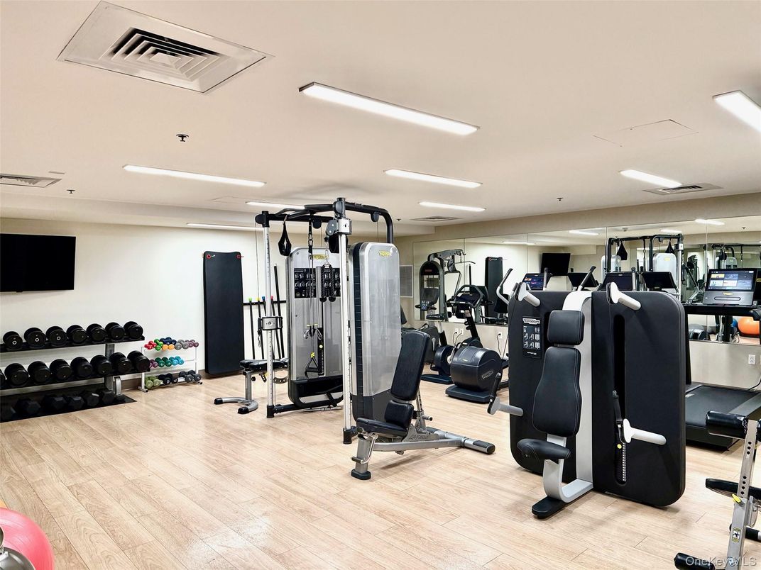 Fitness Equipment, Gym, Interior, Recessed Lighting, Wood Texture Flooring