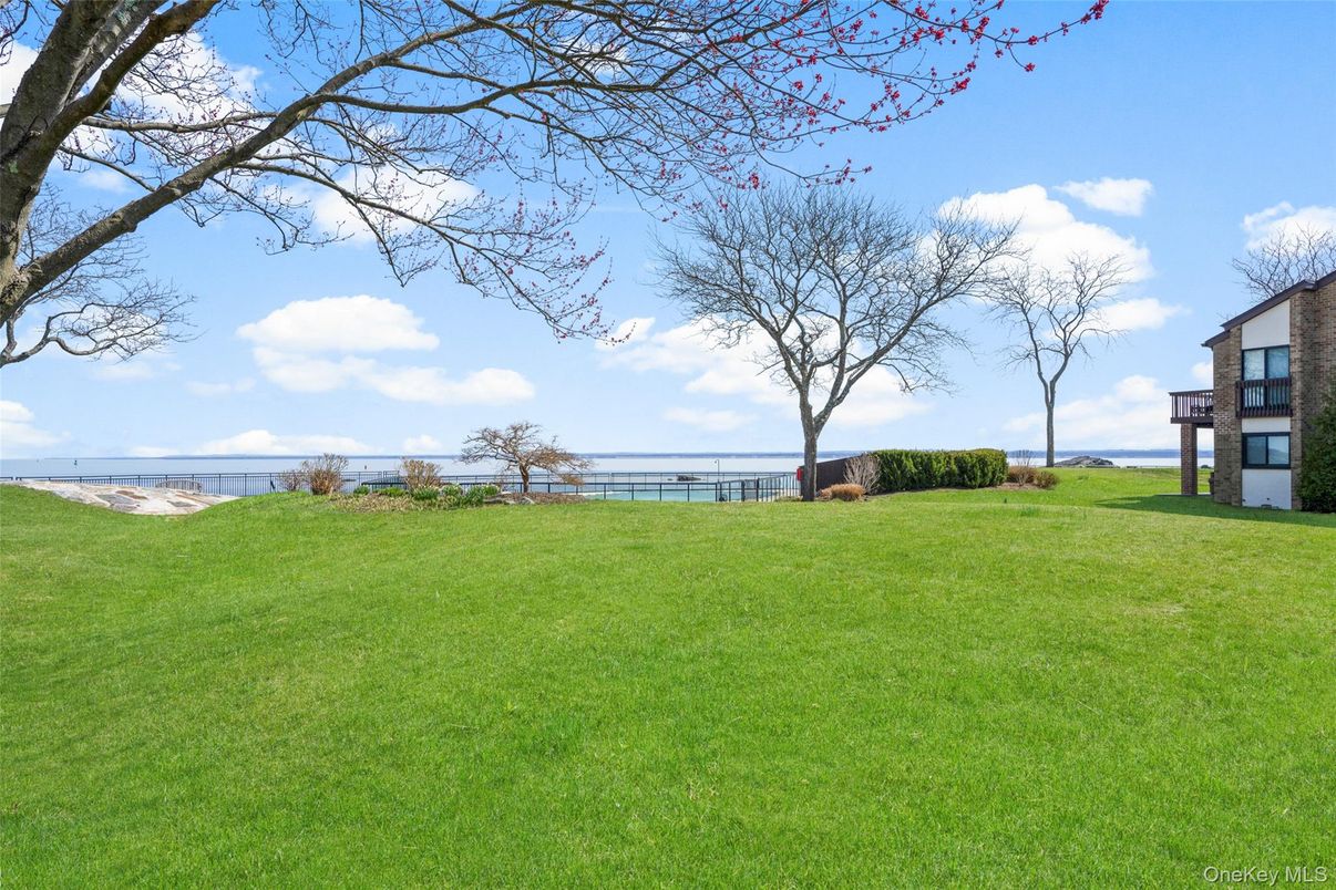 Backyard, Exterior, Water