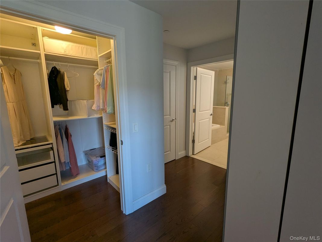 Interior, Walk-in Closets, Wood Texture Flooring
