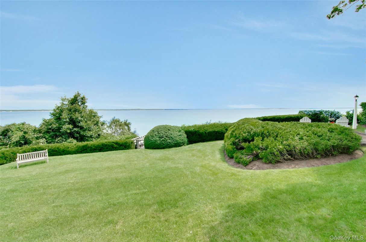 Backyard, Exterior, Water