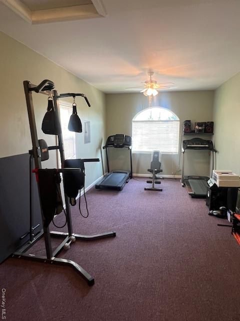 Fitness Equipment, Interior