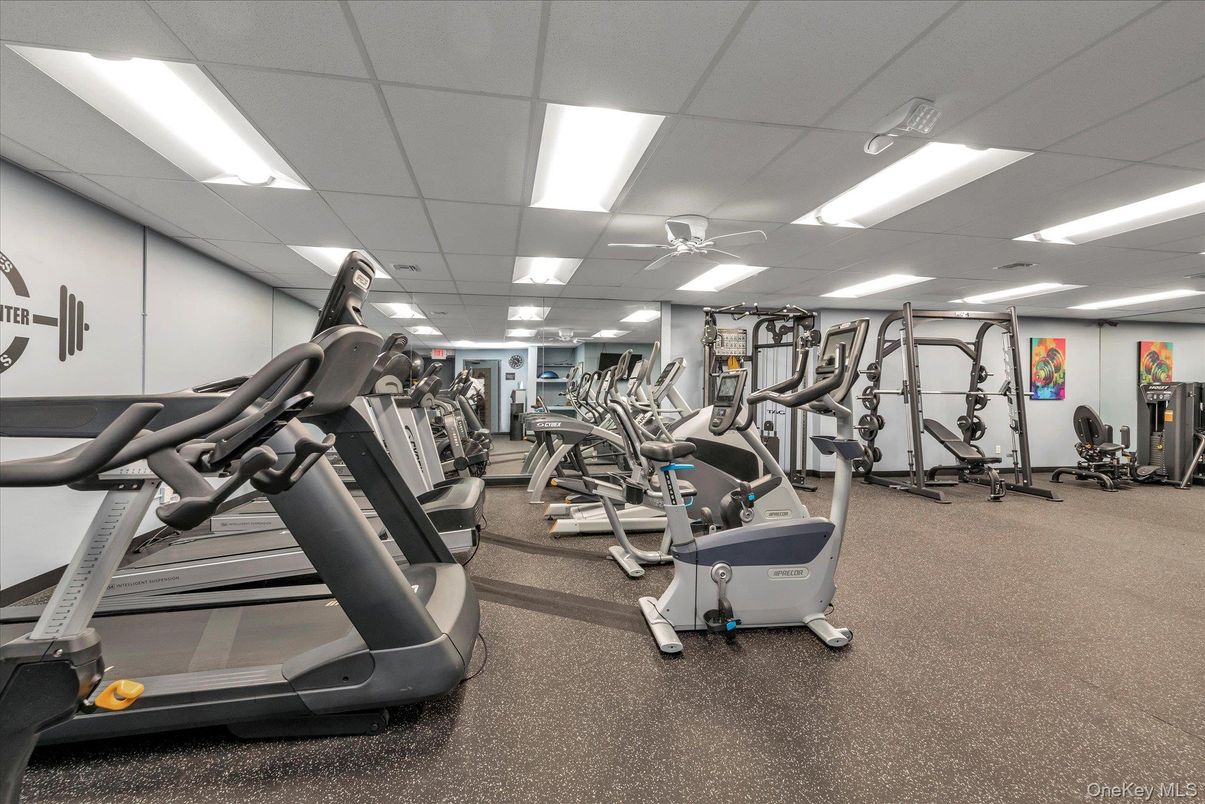 Fitness Equipment, Gym, Interior, Recessed Lighting