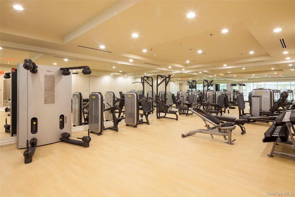 Fitness Equipment, Gym, Interior, Recessed Lighting, Wood Texture Flooring