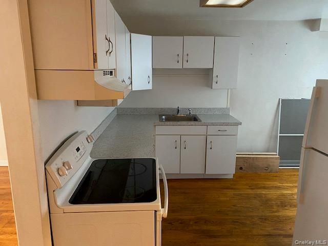 Interior, Kitchen, Washer, Wood Texture Flooring
