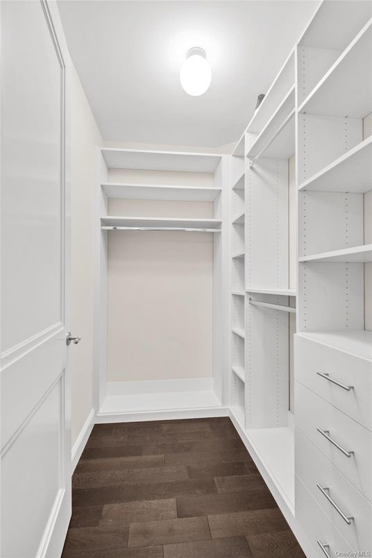 Interior, Walk-in Closets, Wood Texture Flooring