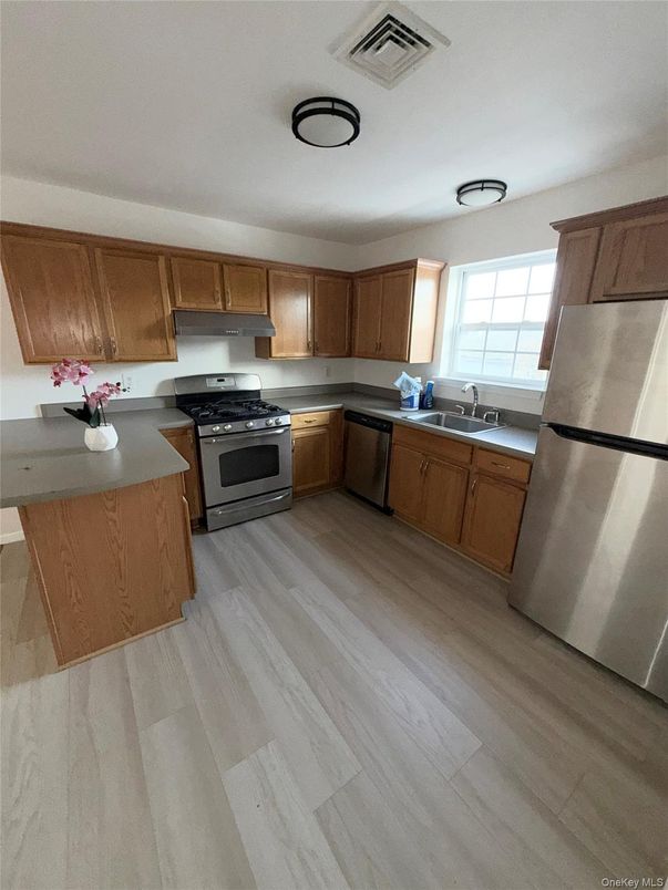 Interior, Kitchen, Stainless Steel Appliances, Wood Texture Flooring