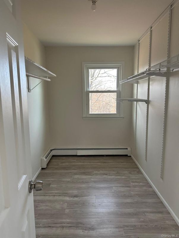 Interior, Walk-in Closets, Wood Texture Flooring