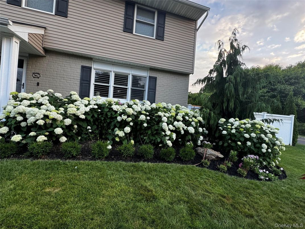 DE Listing image placeholder