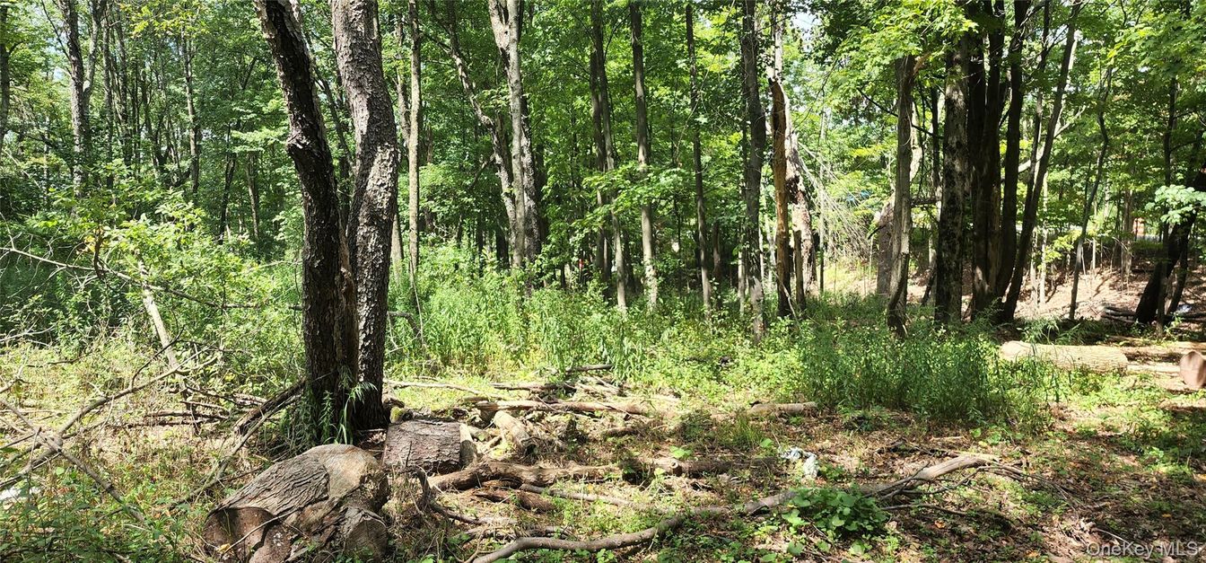 DE Listing image placeholder