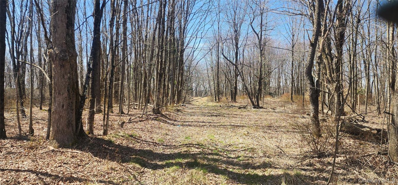 DE Listing image placeholder