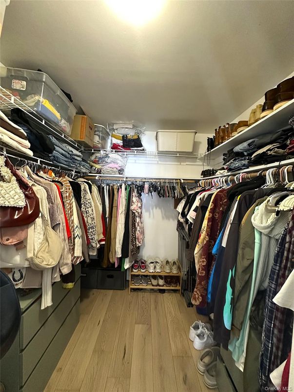 Interior, Walk-in Closets, Wood Texture Flooring