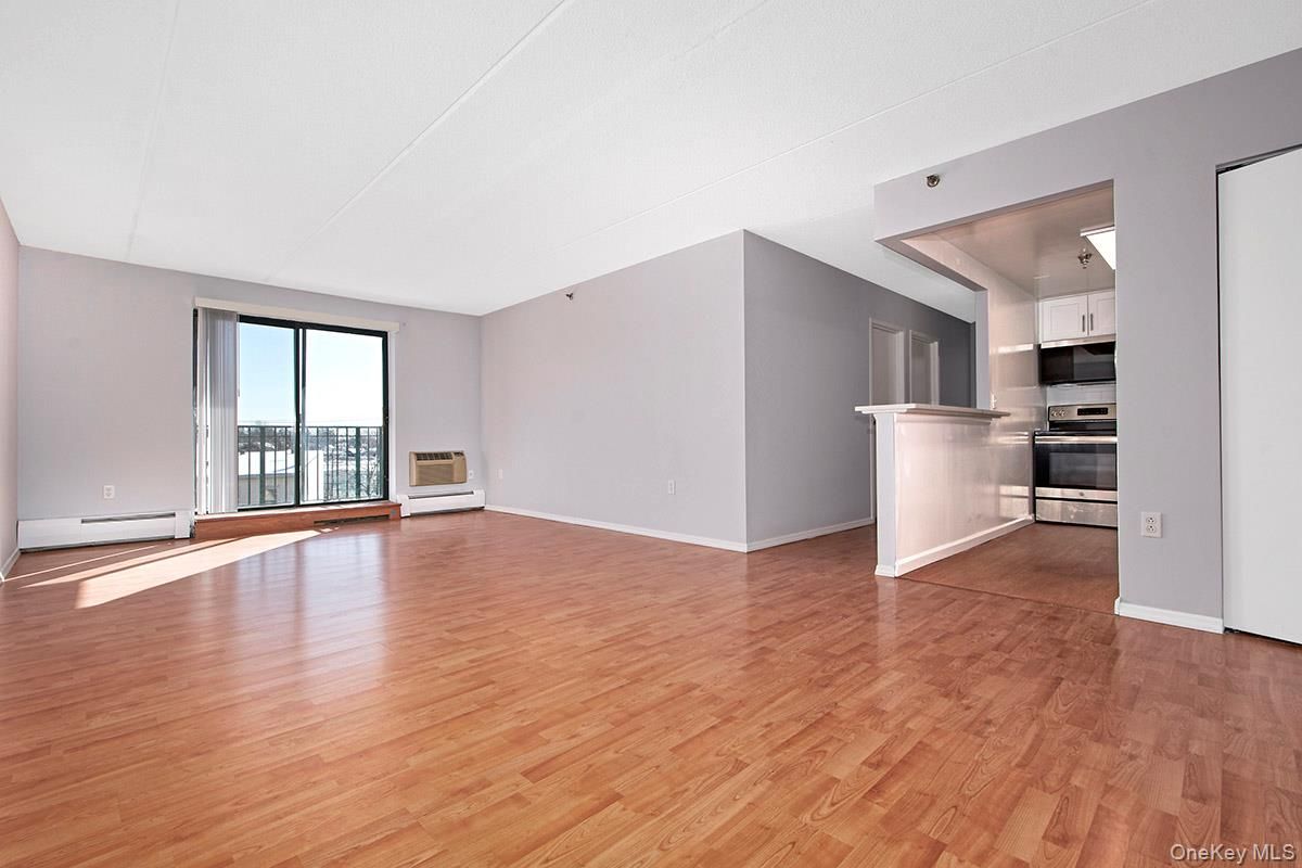 Empty room, Interior, Kitchen, Stainless Steel Appliances, Wood Texture Flooring