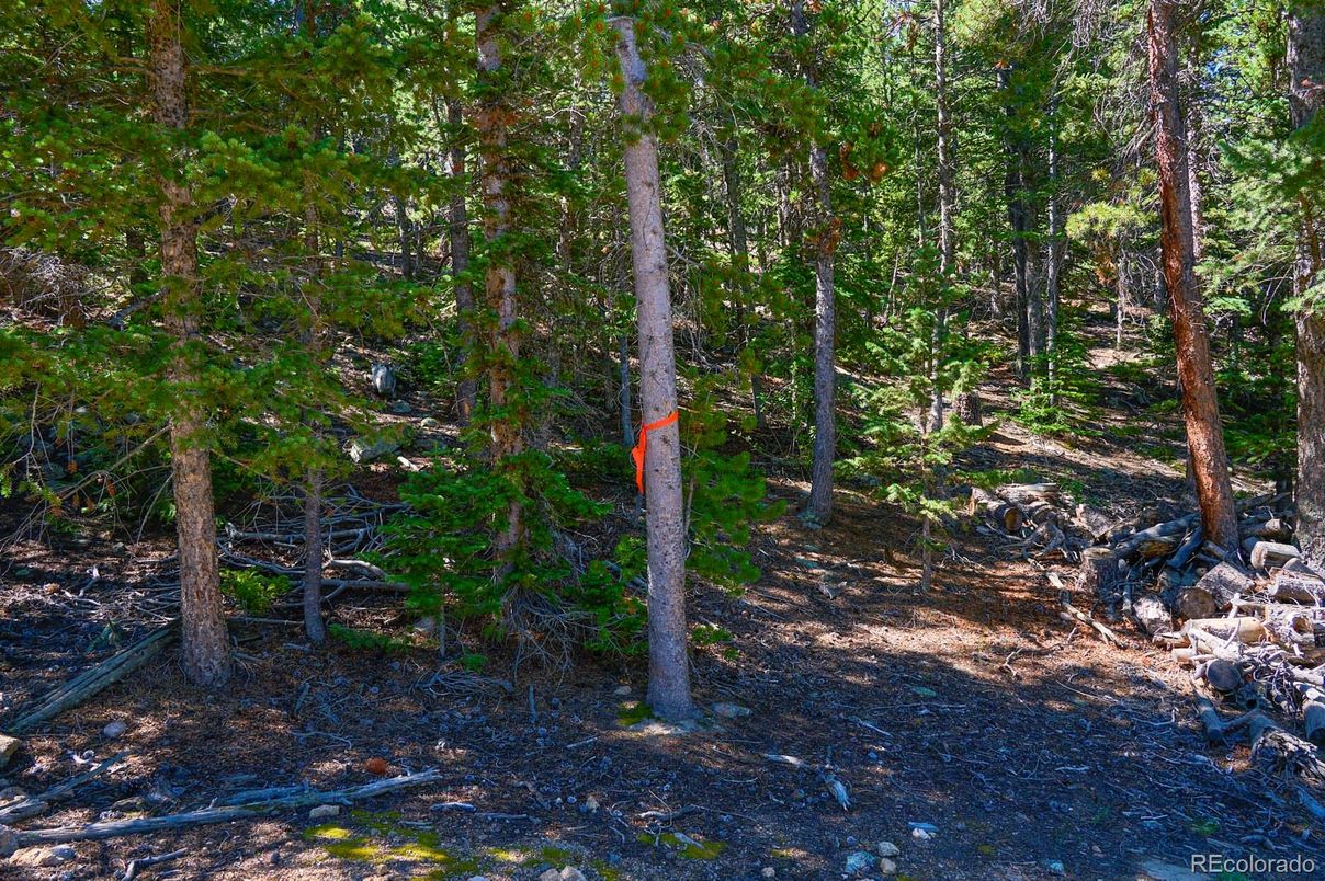 DE Listing image placeholder