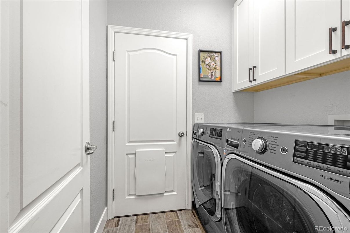 Interior, Washer, Wood Texture Flooring