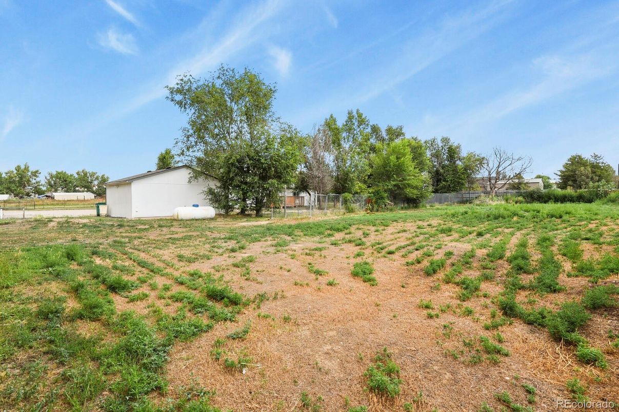Backyard, Detached Garage, Exterior