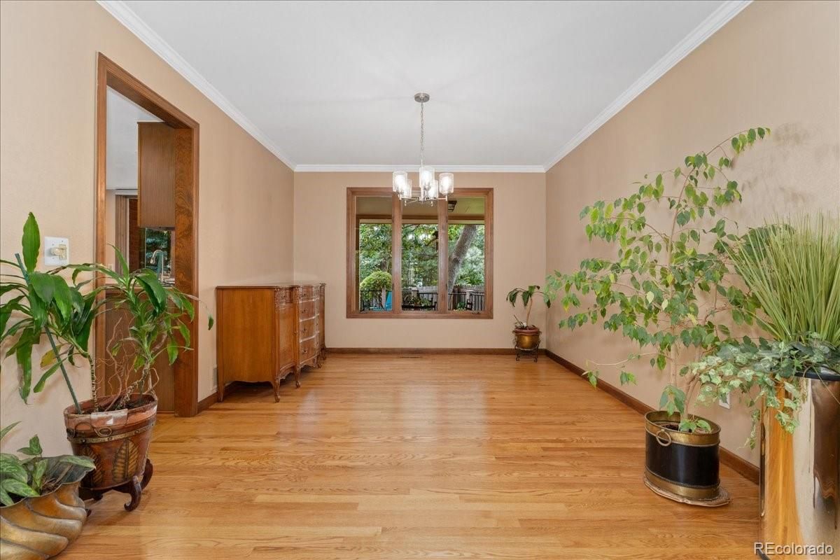 Chandelier, Interior, Wood Texture Flooring